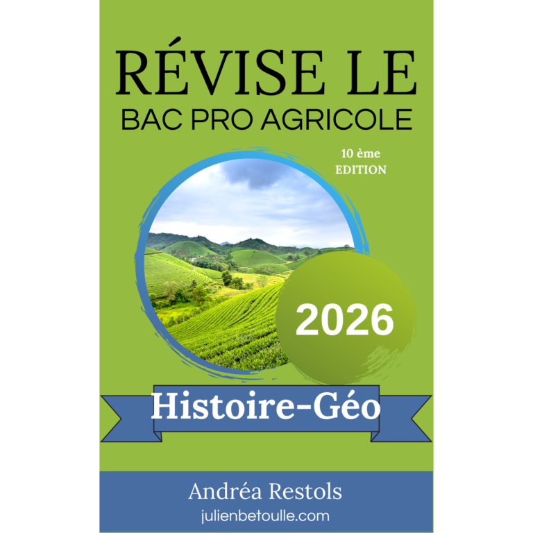Guide Histoire-géographie – Bac professionnel