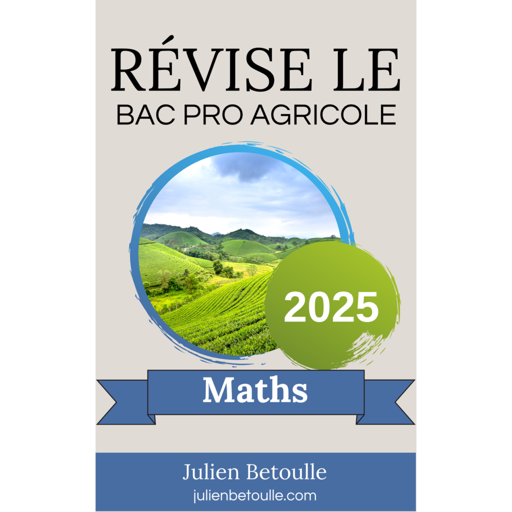 Guide Mathématiques – Bac professionnel